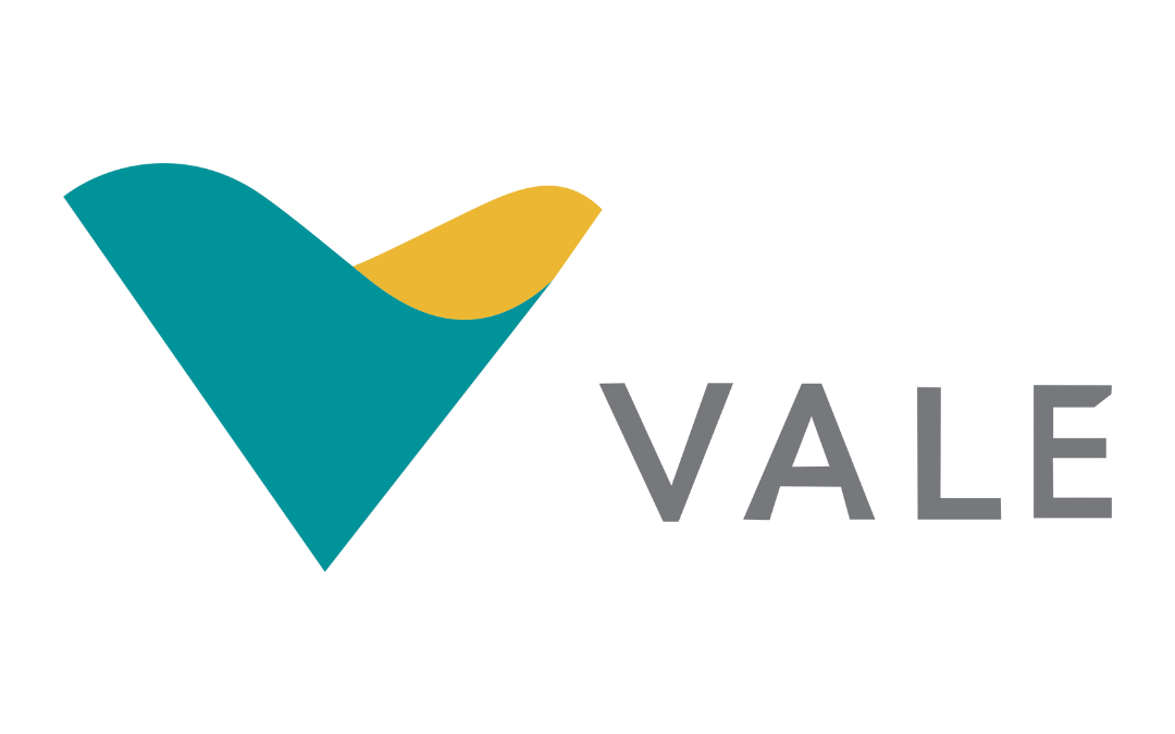 Vale Insurance