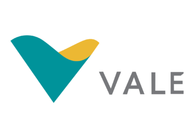 Vale Insurance